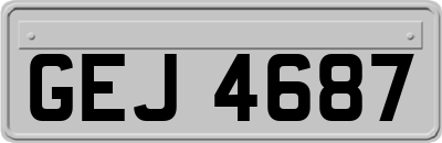 GEJ4687