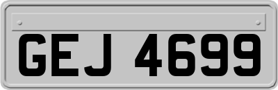GEJ4699