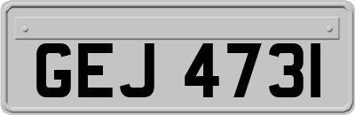 GEJ4731