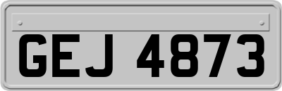 GEJ4873