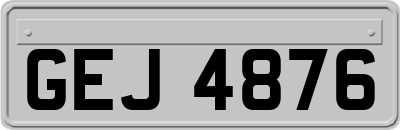 GEJ4876