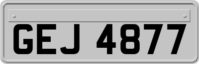 GEJ4877