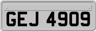 GEJ4909