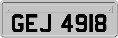 GEJ4918