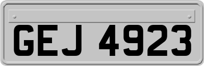 GEJ4923