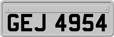 GEJ4954