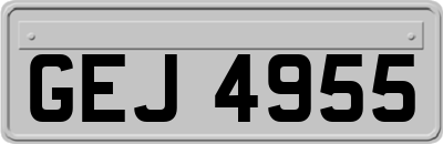 GEJ4955
