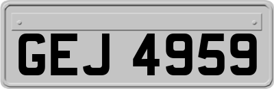 GEJ4959