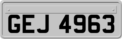 GEJ4963
