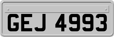 GEJ4993