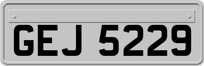 GEJ5229
