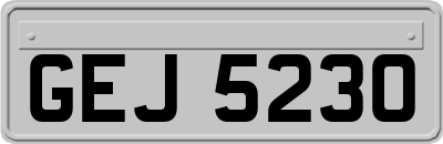 GEJ5230
