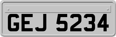 GEJ5234