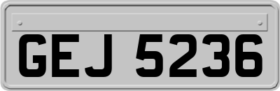 GEJ5236