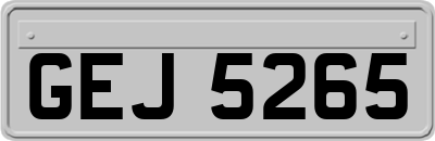 GEJ5265