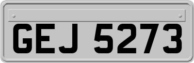 GEJ5273