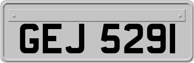 GEJ5291