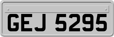 GEJ5295