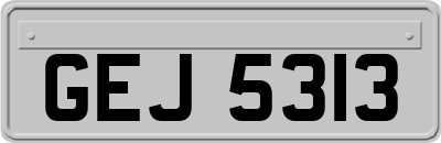 GEJ5313