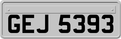 GEJ5393