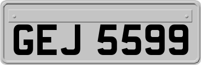 GEJ5599