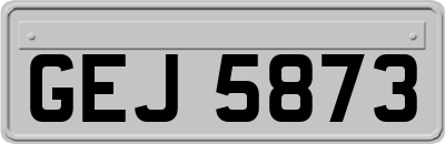 GEJ5873