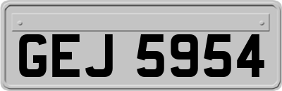 GEJ5954