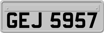 GEJ5957