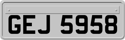 GEJ5958