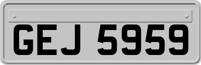 GEJ5959