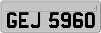GEJ5960