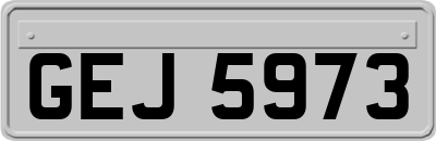 GEJ5973