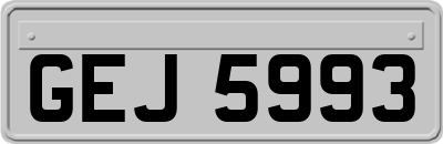 GEJ5993