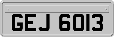 GEJ6013