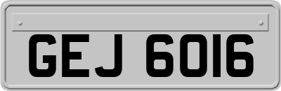 GEJ6016