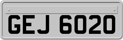 GEJ6020