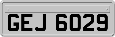 GEJ6029