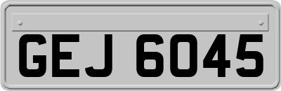 GEJ6045