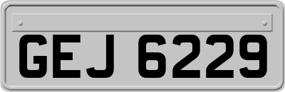 GEJ6229