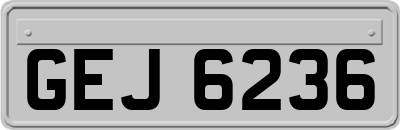 GEJ6236