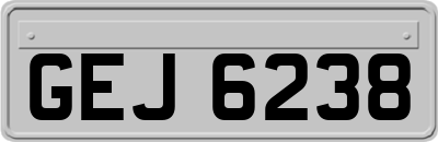 GEJ6238
