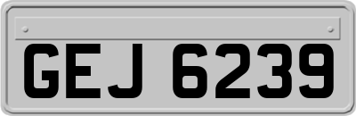 GEJ6239
