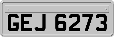 GEJ6273