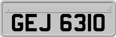 GEJ6310