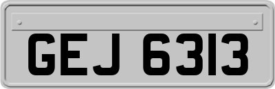 GEJ6313