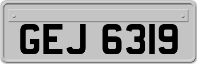 GEJ6319