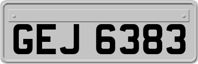 GEJ6383