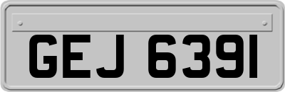 GEJ6391