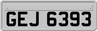 GEJ6393