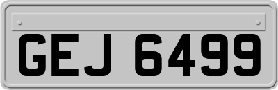 GEJ6499